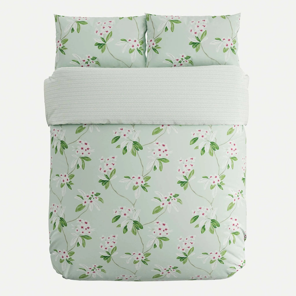 Oleander Filled Cushion in Aqua