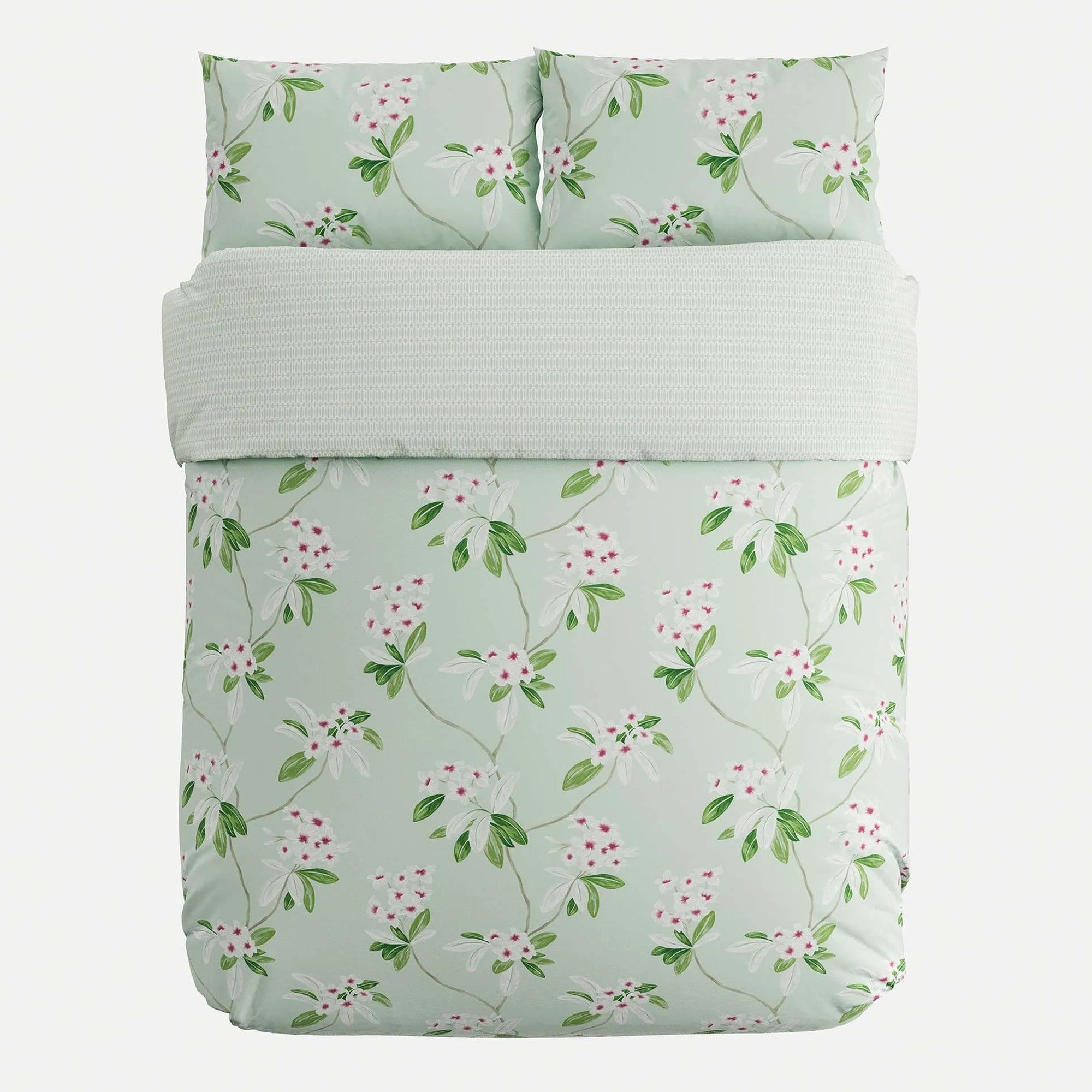 Oleander Filled Cushion in Aqua