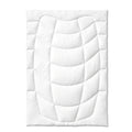 Wildseide Wild Silk Filled Duvets - Light 4.5 TOG